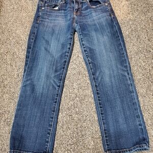 American Eagle Outfitters Blue Ankle Jeans